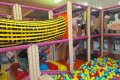 81 81